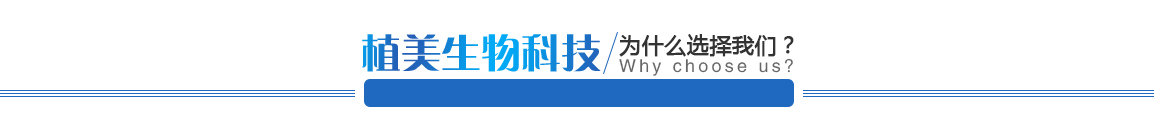 東莞殺白蟻公司